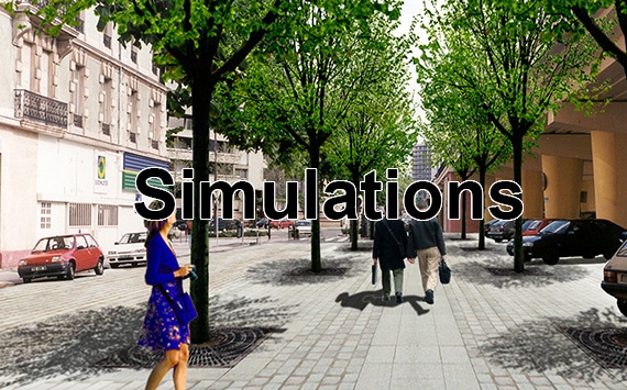 Simulations